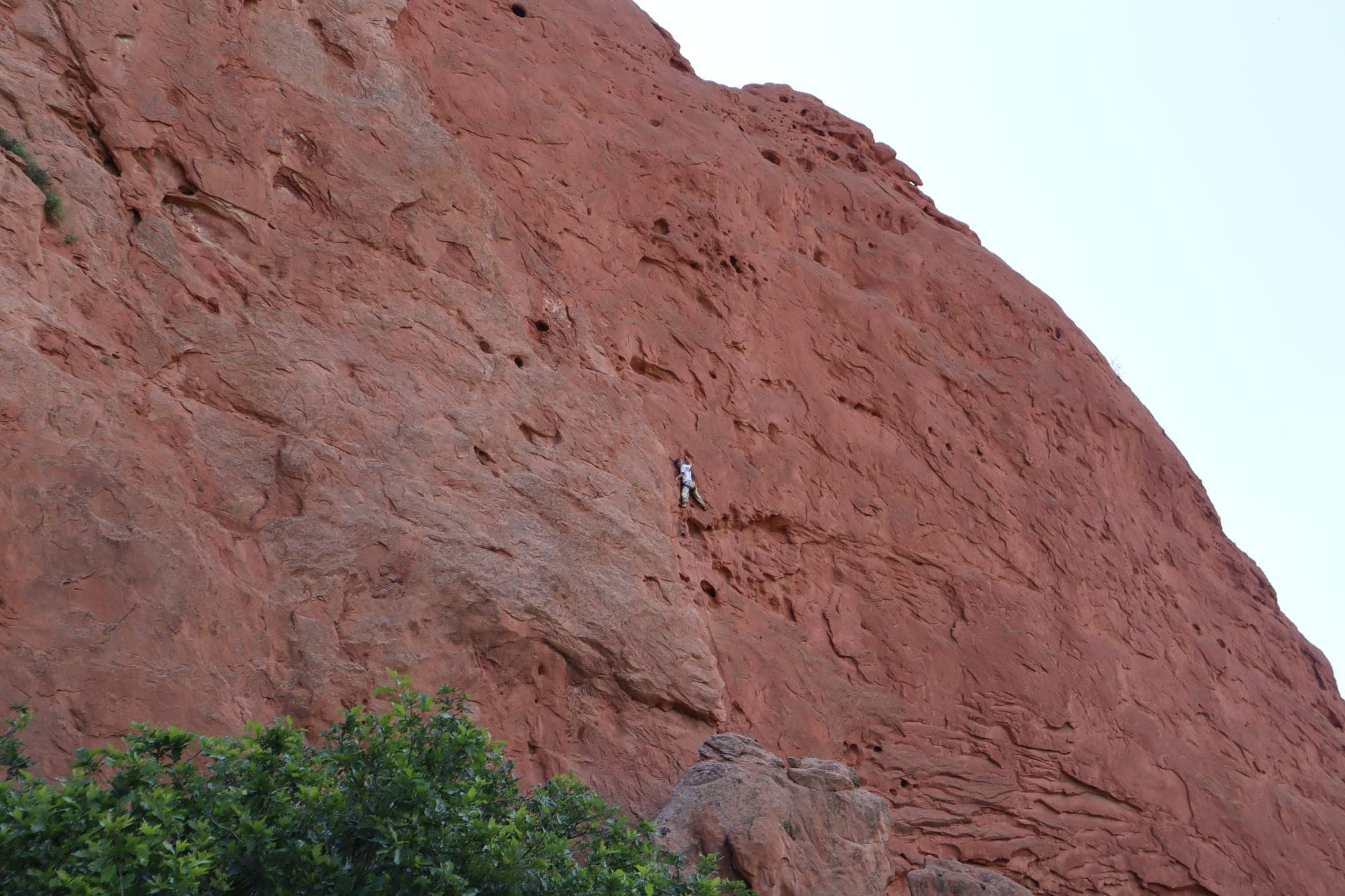 Rock Climber Red Wall