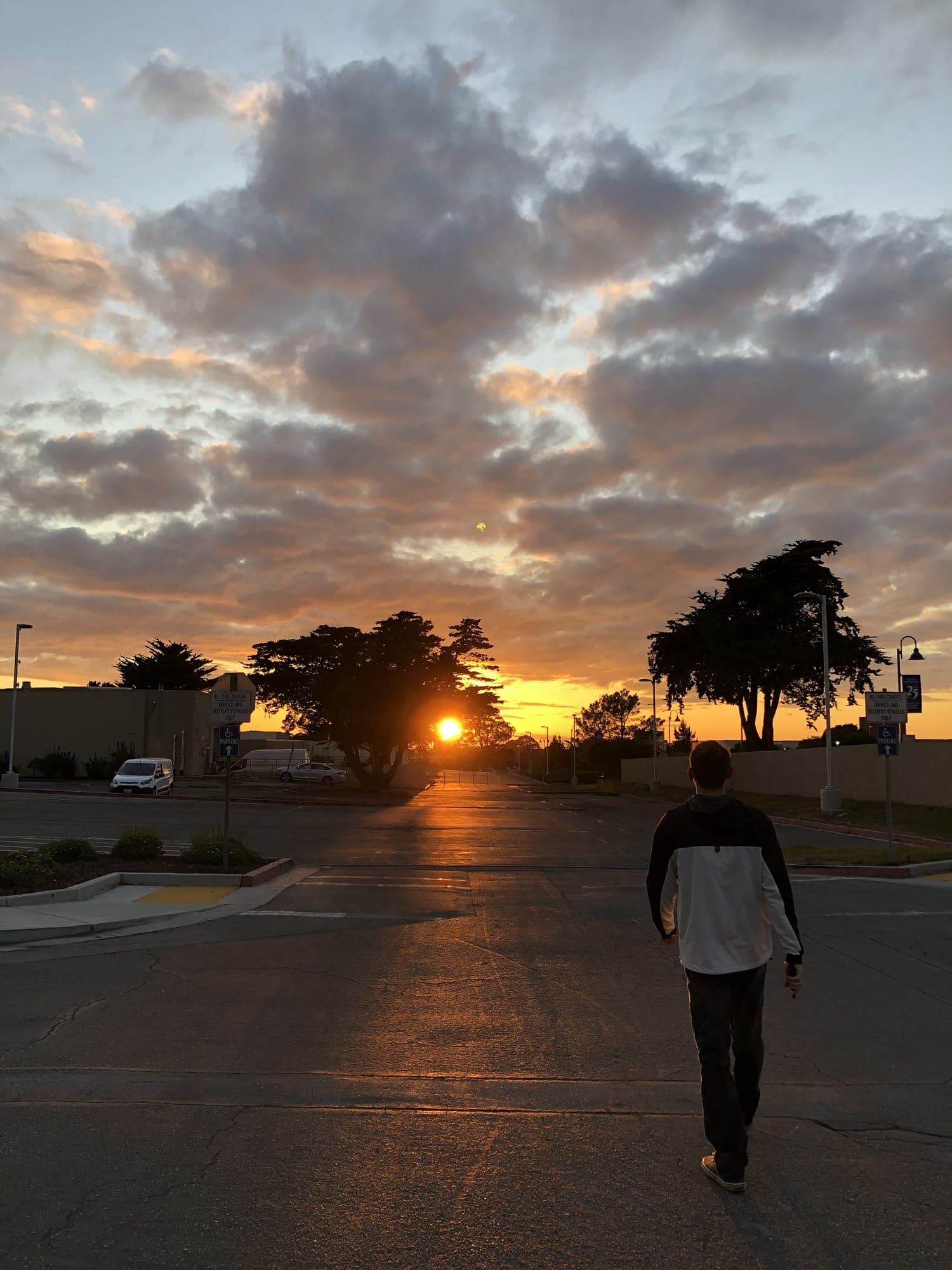 Sunset Street Walker
