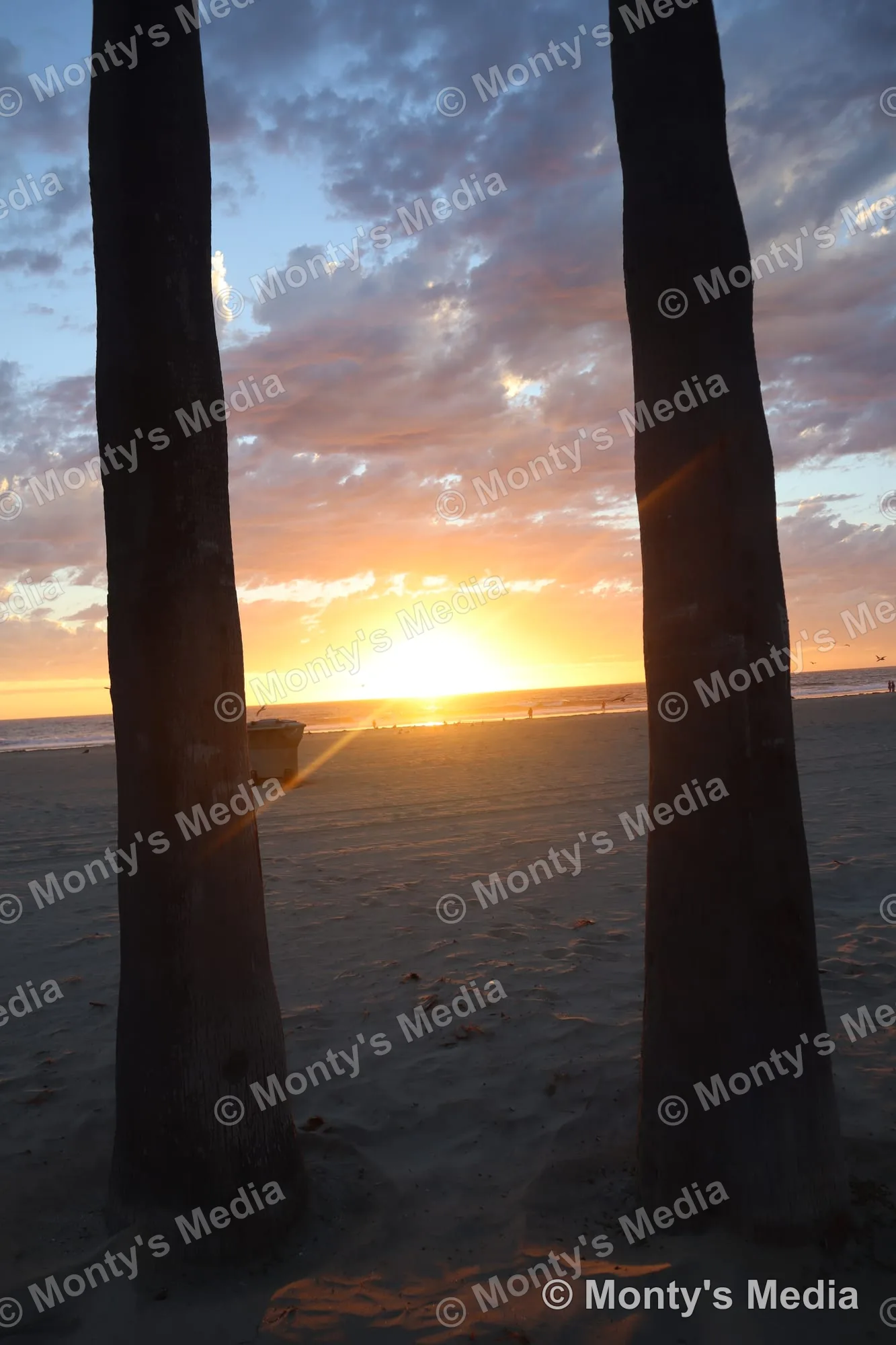 Sunset Between Palms