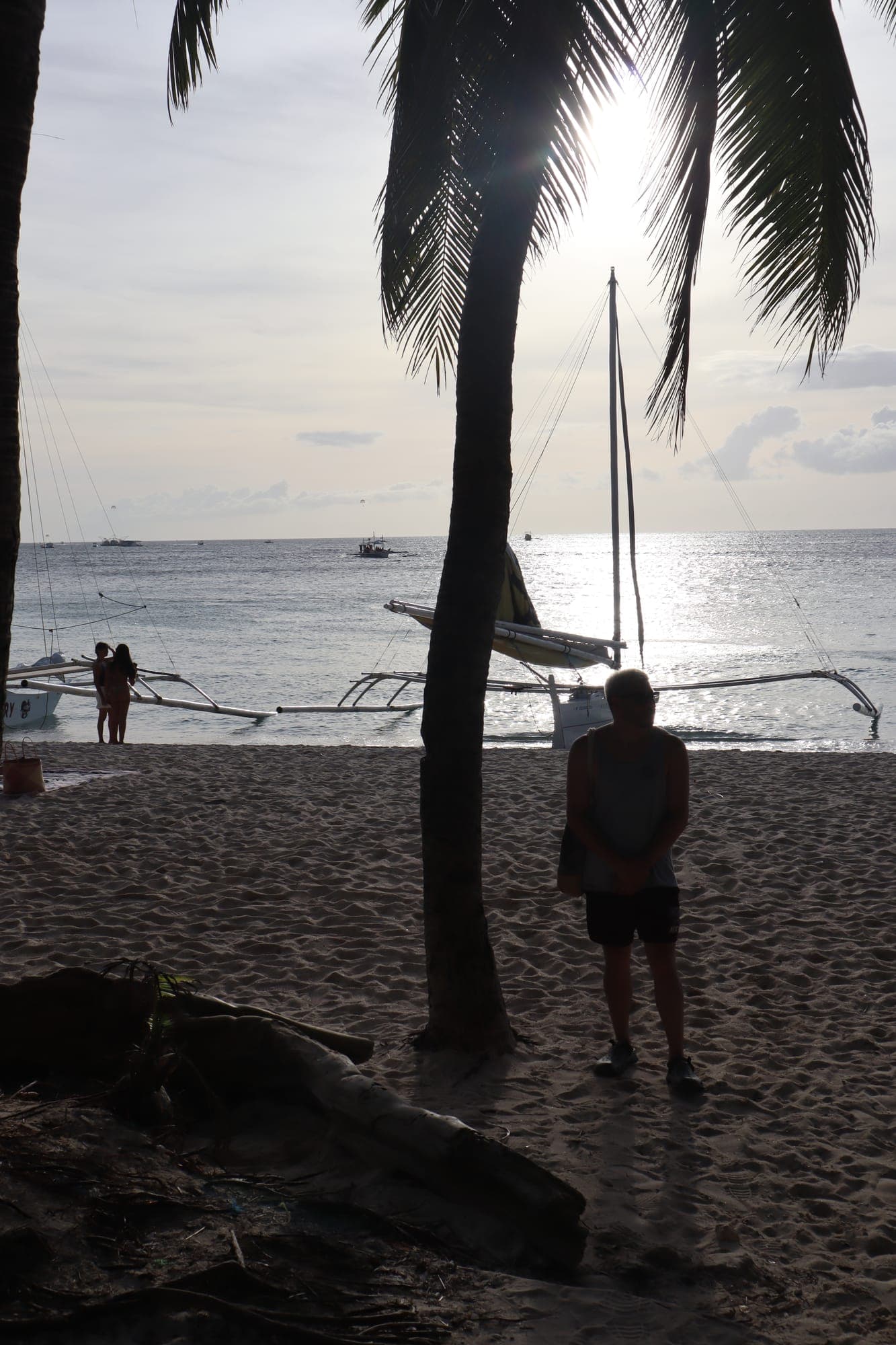 Palm Sailboat Silhouette